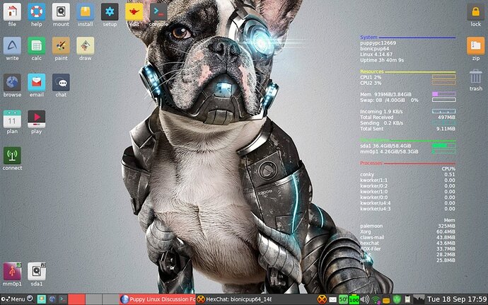 bionicpup64