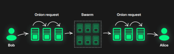 راوترات بصلية