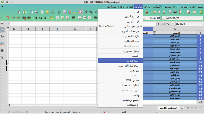 بيانات الصلاحية