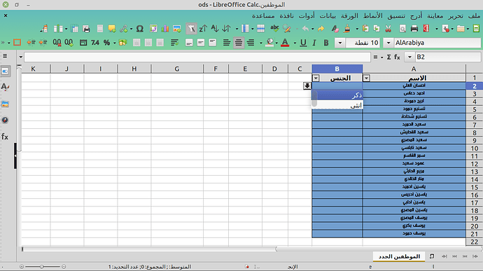 اختيار المحدد