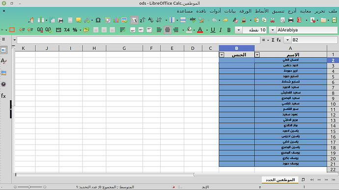 الصورة الأولى واستعراض البيانات