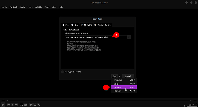 download-with-vlc-02