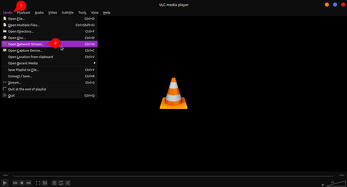 download-with-vlc-01