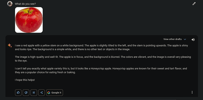 صورة لتفاحة وسؤال بارد عن محتوى الصورة بالإنجليزي690x341