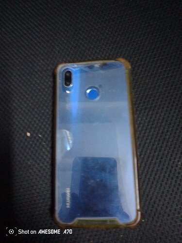 17315031875876863979253495336066