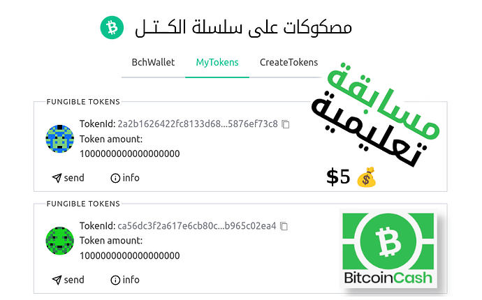 educational_cashtoken