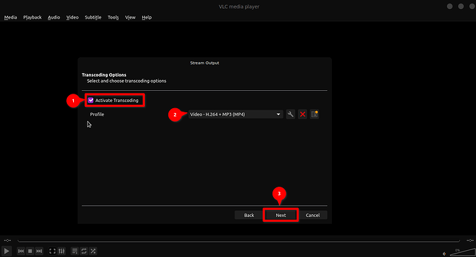 download-with-vlc-08