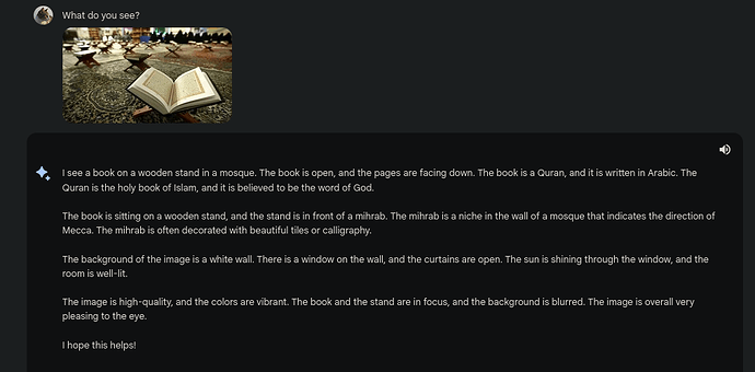 صورة أخرى للقرآن الكريم